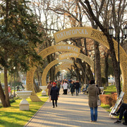 IMG-0976