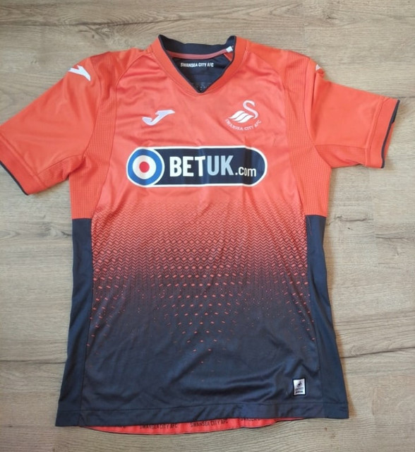 swansea1