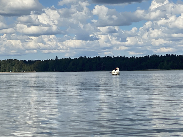 AC523850-22-D9-4-FC2-A182-6-F569591-D1-C