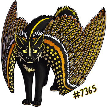 Pet Image