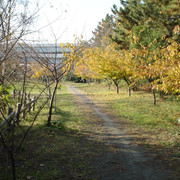 2011-12-15-142