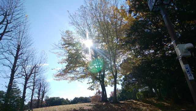 IMG-20221117-101006