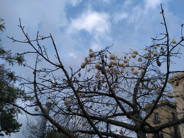IMG 20180429 100853.jpg