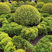 IMG-0702