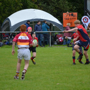 DSC-0373