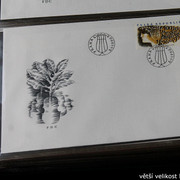 IMG-2520