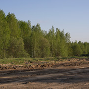 DSC3504