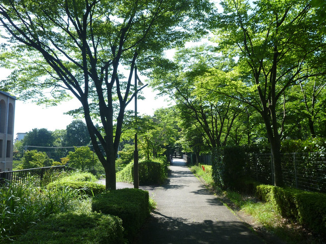 P1330439