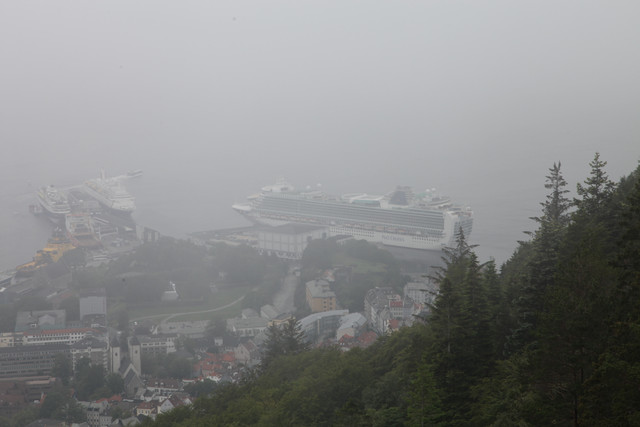 IMG-3548