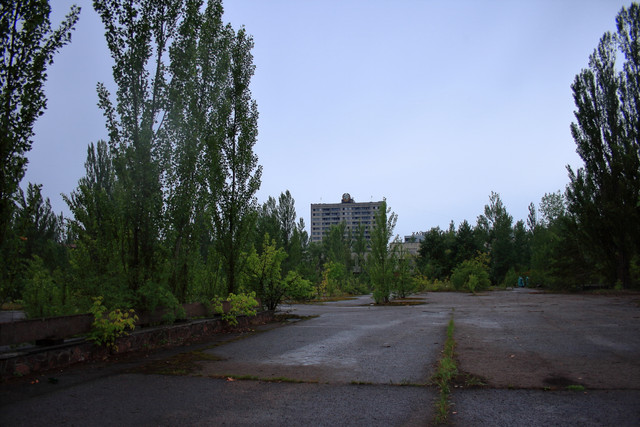 IMG-6013.jpg