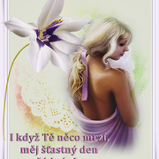 T-ASTN-DEN