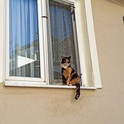 IMG-20230502-080905
