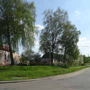 DSC00039-5