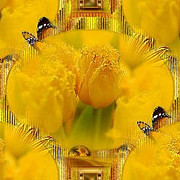 a1019b1c20b8
