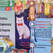 DSC-2507