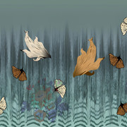 Shutterstock Border (39)