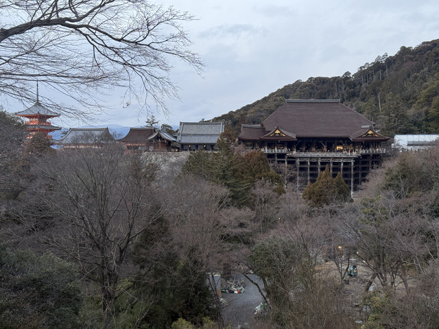 IMG-1851.jpg