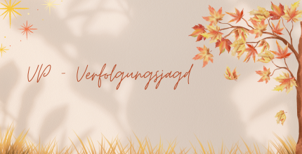 Wettbewerb VP - Verfolgungsjagd