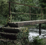 forest-bridge.gif