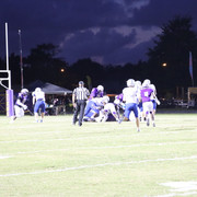 IMG-0454