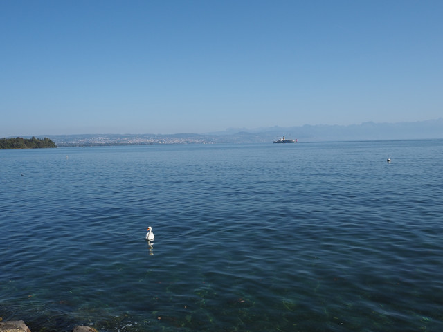 [Image: PA070108.jpg]