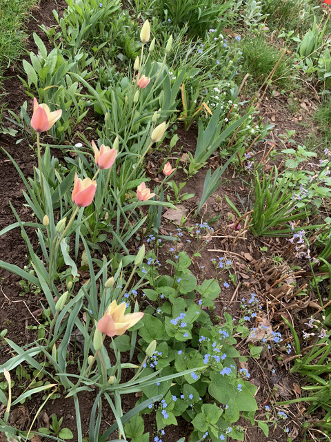 IMG-5021