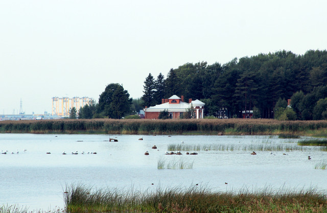 IMG-1795