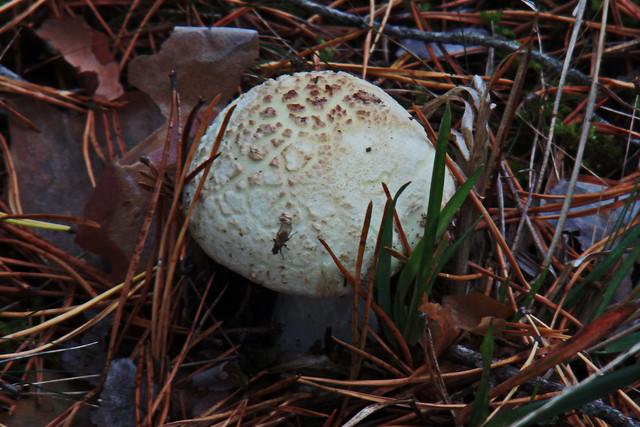 PA010163