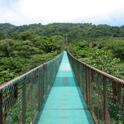 Hanging-Bridge-Monteverde-Cloud-Forest-Costa-Rica