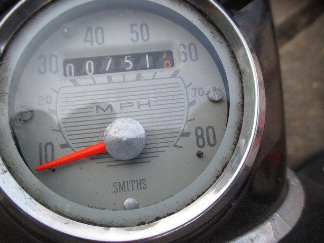 IMG-3675.jpg