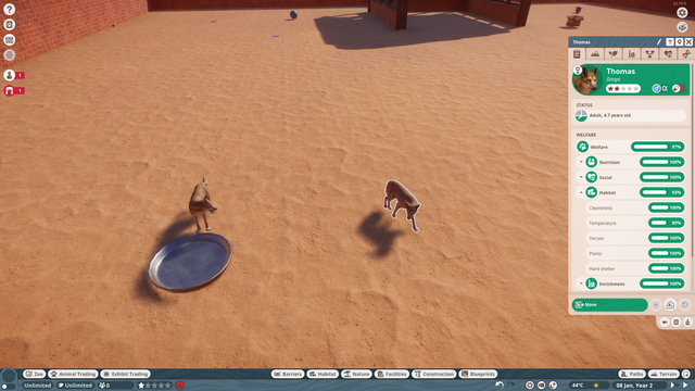 desert