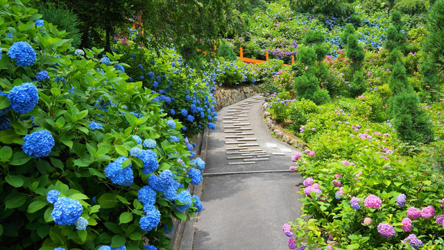 20130630141846c02