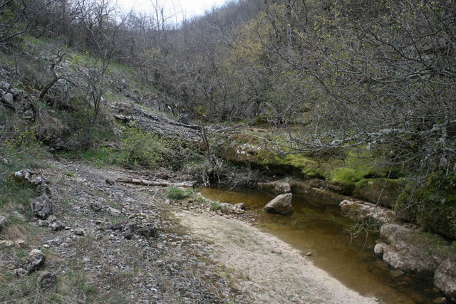 IMG-0197