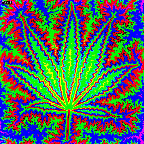 9Ccu.gif