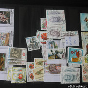 IMG-3521
