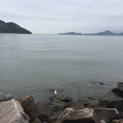 IMG-3733