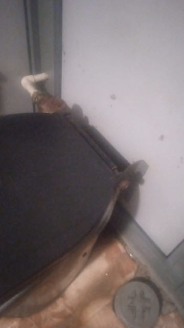 IMG-20220726-WA0010