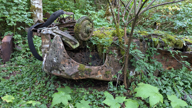 Buller-Car-5