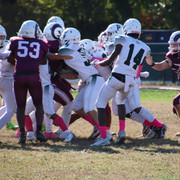 IMG-4448