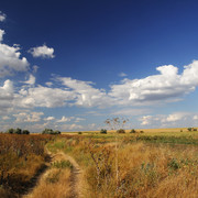 10a00109m