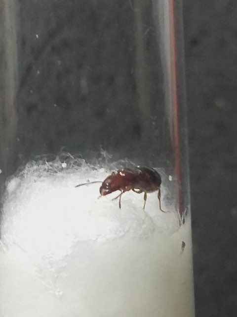 20190107-140745
