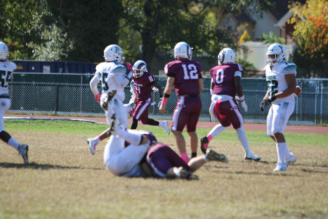 IMG-8291.jpg