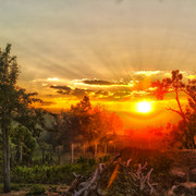 HDR4