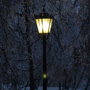 IMG-9425