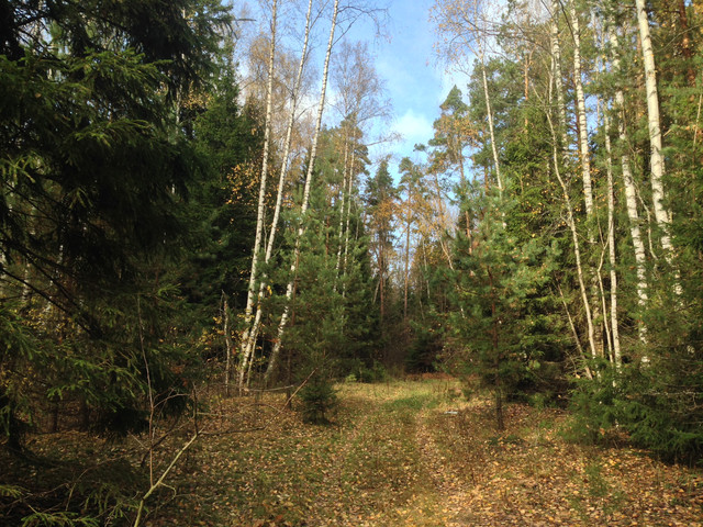 IMG-4351.jpg