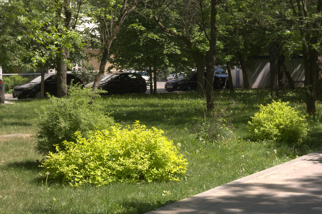 DSC3873.jpg