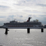IMG-6766