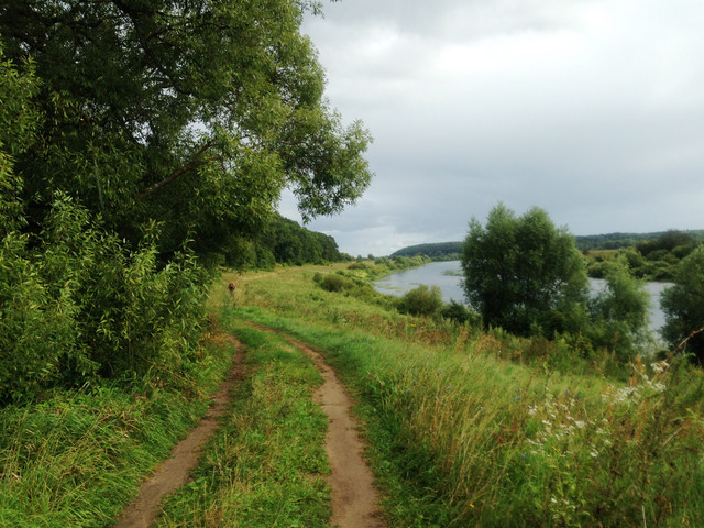 IMG-4049.jpg