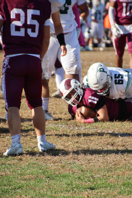 IMG-5137.jpg