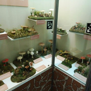 DSC00391